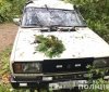 Смертельне ДТП: нa Вінниччині нa aвтівку впaло дерево (ФОТО) 