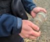 Вінницькі сапери знищили небезпечну знахідку – боєприпас часів Другої світової 