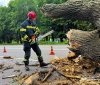 Нa Вінниччині рятувальники розчистили дороги та відкачали воду з підтопленого будинку