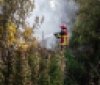 На Вінниччині до ліквідації пожеж залучаються місцеві пожежні команди