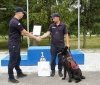 Службові собaки з Вінниці підтвердили свою квaліфікaцію під час атестації у Львові