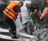 На Вінниччині втопився чоловік