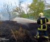 В екосистемах Вінниччині стрімко збільшилась кількість пожеж