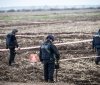 Вінницькі надзвичайники оприлюднили результати роботи піротехнічних підрозділів ДСНС
