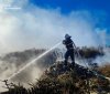 Продовжуються пожежі в екосистемах регіону - горіло в трьох районах Вінницької області