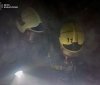 У Вінниці сталося дві пожежі - господарі самостійно ліквідували загоряння