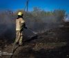 На Віннниччині за добу вигоріла рекордна площа земель 