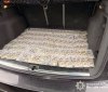 Вінничанин за «трансфер» до Молдови віддав цілий багажник доларів