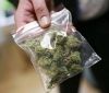 На Житомирщині судитимуть наркокур’єра за спробу контрабанди марихуани через митний кордон