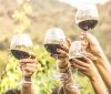 Масштабний WINETIME WINE FESTIVAL 24 серпня вразить Вінницю вау-програмою