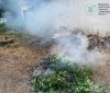 У межах екологічного контролю Державна екологічна інспекція у Вінницькій області зафіксувала факт самовільного випалювання залишків рослинності на території одного з дошкільних закладів, що належить до Ободівської територіальної громади.  Під час перевірк