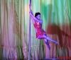У Вінниці відбувся всеукраїнський чемпіонат з танців на пілоні
