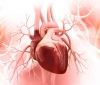5 методів профілактики “синдрому розбитого серця”