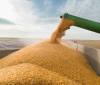 росія звинуватила Україну у порушенні «зернової угоди»