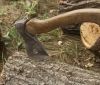У Жмеринському районі чоловіка вбило деревом