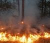В Україні зберігається високий рівень пожежної небезпеки