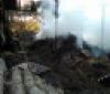 На Вінниччині під час пожежі постраждала корова
