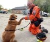 Вінницькі рятувальники закінчили навчання в Польщі: поглиблення професійної майстерності та партнерство з польськими колегами