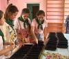 На Вінниччині відкрили перше соціальне шкільне підприємство: вирощують мікрогрін