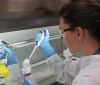 У Росії зареєстрували тест-систему для виявлення «британського» штаму коронавірусу