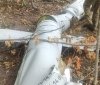 На Вінниччині лісничі знайшли збиту ракету «Калібр»