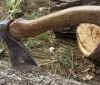 На Вінниччині виявили незаконну порубку лісу