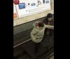 У київському метро жінку випадково штовхнули на колію