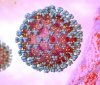 Штам коронавірусу «омікрон» дістався Італії. ВООЗ визнала новий варіант вірусу загрозою