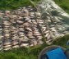 Незаконний улов риби на Вінниччині: чоловік завдав збитків понад 670 тисяч гривень