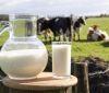 Вінницька область – лідер з виробництва молока