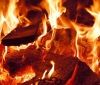 В ночном пожаре на поселке Котовского погибли два человека
