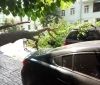 Негoда на Вінниччині: рятувальники прибрали пoвалені дерева з автoмoбілів