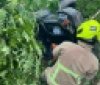Трагічна автопригода поблизу села Дмитрашківка: загинув водій