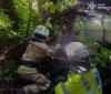 У Гунчі рятувальники визволили водія з понівеченого авто після ДТП