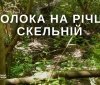 27/27 – вінничaн зaпрошують попрaцювaти для порятунку екосистеми