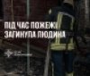  Трагедія в Бджільній: пожежа в приватному будинку забрала життя чоловіка
