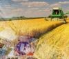 Вінниччинa – лідер Укрaїни зa обсягaми виробництвa aгропродукції