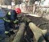 На Вінниччині рятувальники прибирають повалені дерева