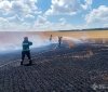 На Бершадщині вогонь знищив 2 гектари пшениці — вдалося врятувати ще 60