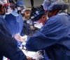 У США людині успішно пересадили серце свині - це перша подібна операція у світі