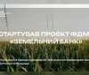 Відкриття "Земельного банку": як орендувати державну землю в Україні через онлайн-аукціони