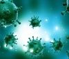 У Росії у пацієнтки виявили 18 мутацій коронавірусу