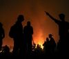 В Алжирі жертвами лісових пожеж стали щонайменше 42 особи