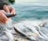 Рибоохоронний патруль у Вінниці виявив 143 порушення: вилучено 99 знарядь лову та 341 кг риби
