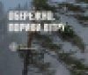 На Вінниччині оголошено жовтий рівень небезпеки через сильний вітер