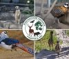У Подільському зоопарку з’явилися нові мешканці: поповнення серед тварин і птахів