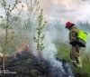 На Вінниччині за добу ліквідували 12 пожеж: горіли будинки, господарчі споруди та екосистеми