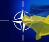 Кабмін затвердив річну національну програму Україна-НАТО
