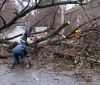 На Вінниччині рятувальники прибрали дерево з автошляху