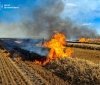 13 пожеж за добу: на Вінниччині вигоріло понад 9 гектарів трави